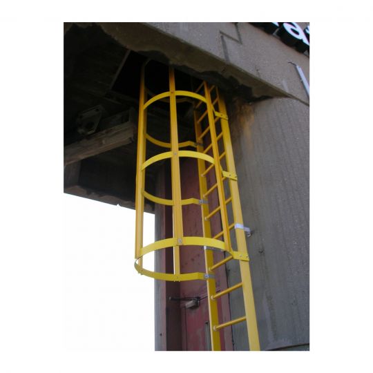 Fixed ladder